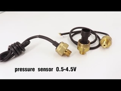 1/4NPT Output 10bar Sensor Tekanan Gas Transduser Bukti Ledakan